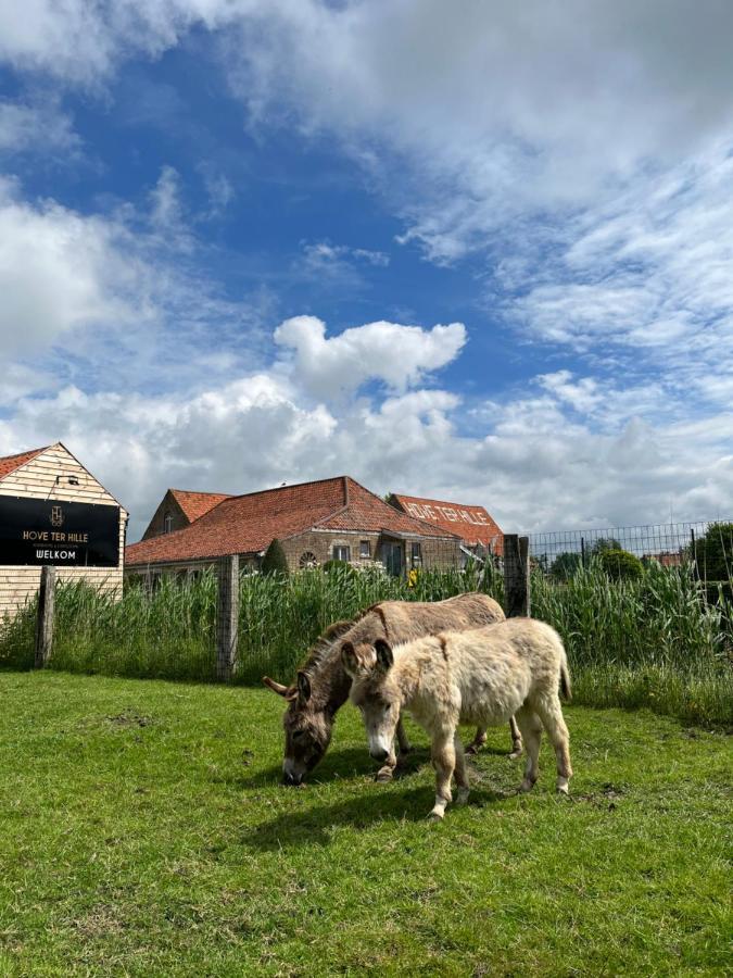 Hove Ter Hille Hotel Jabbeke  Exterior photo